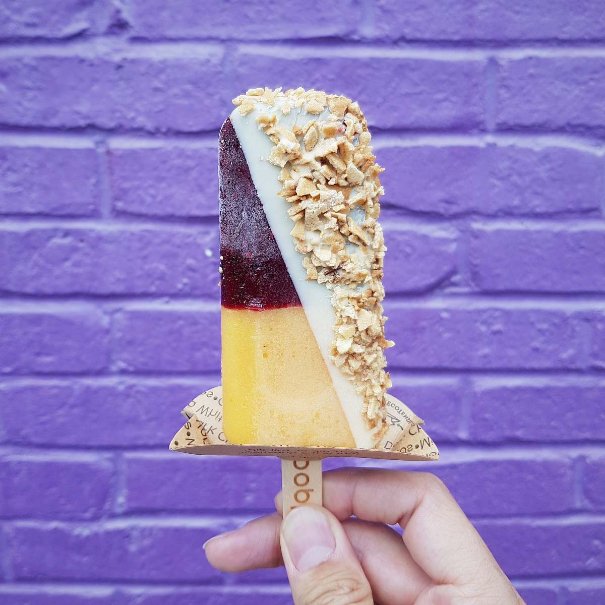 united states person holding popsicle stick lolly